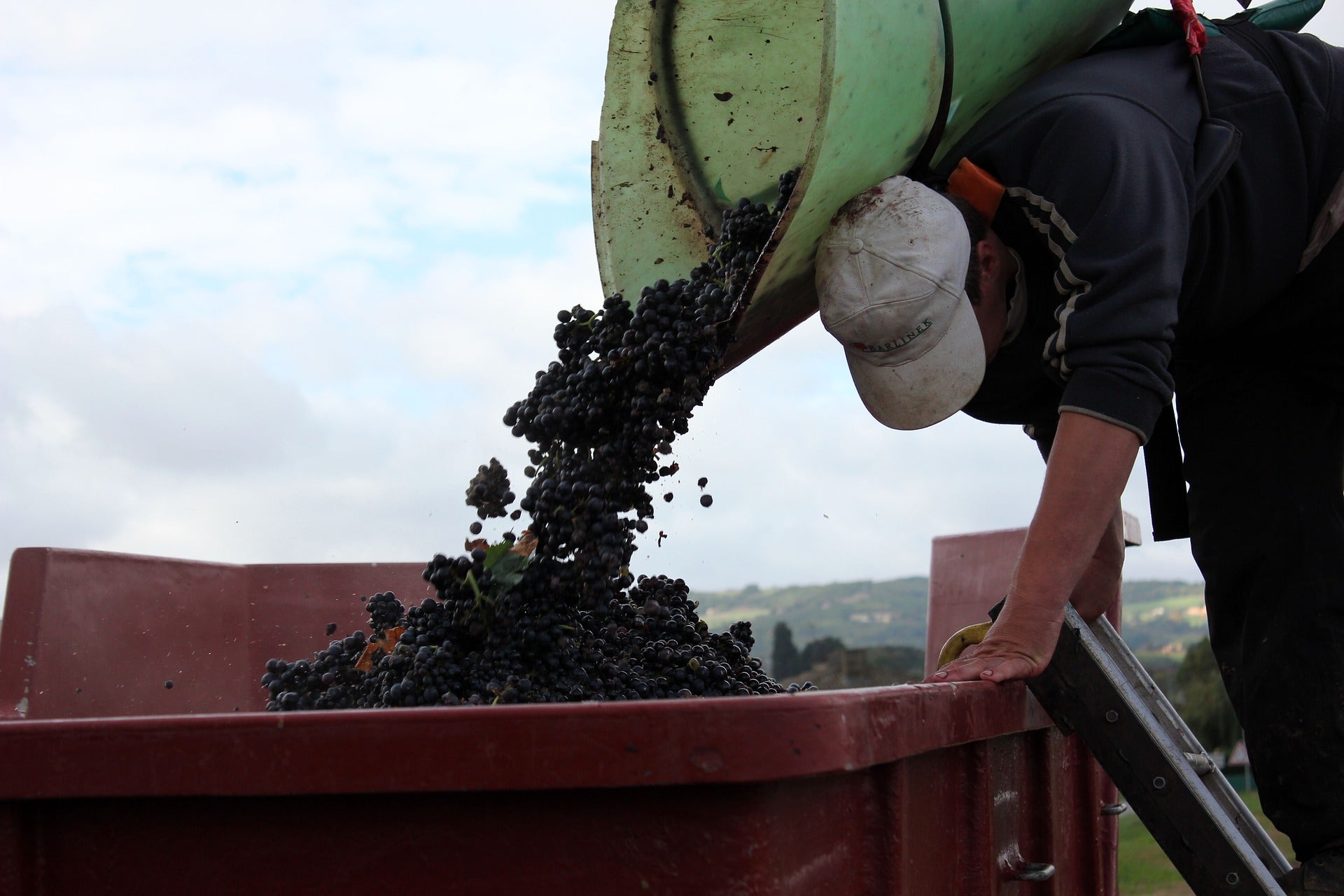 Beaujolais