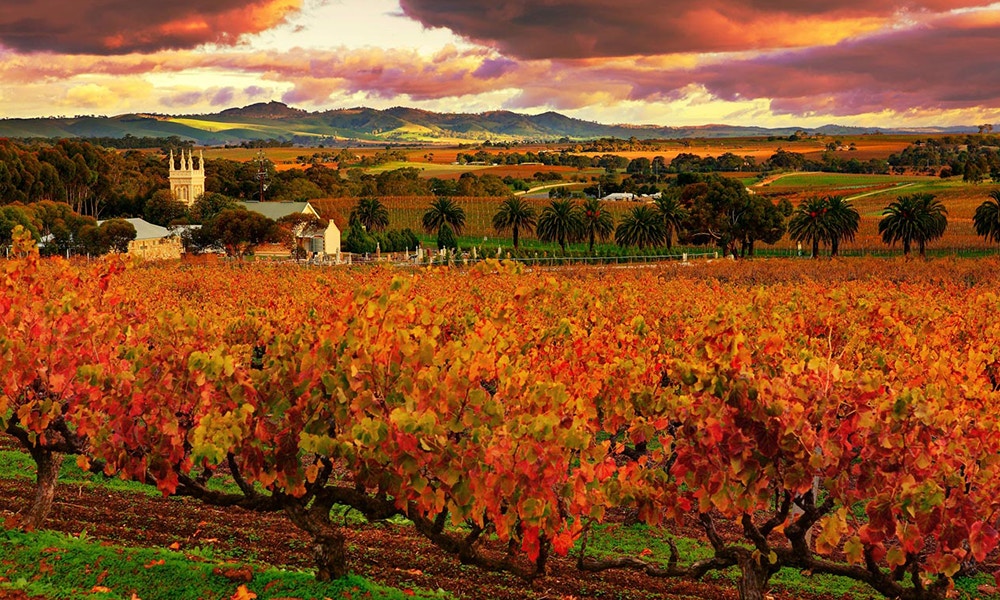 Barossa Valley