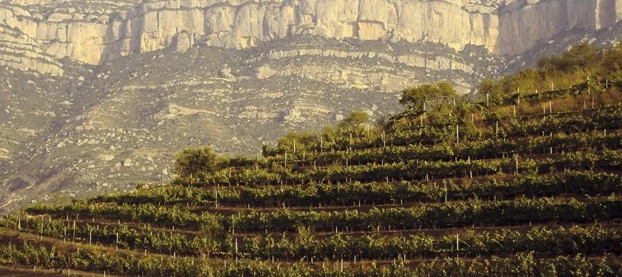 Priorat - Spaniens nordøstlige hjørne