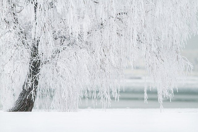 Januar Udsalg