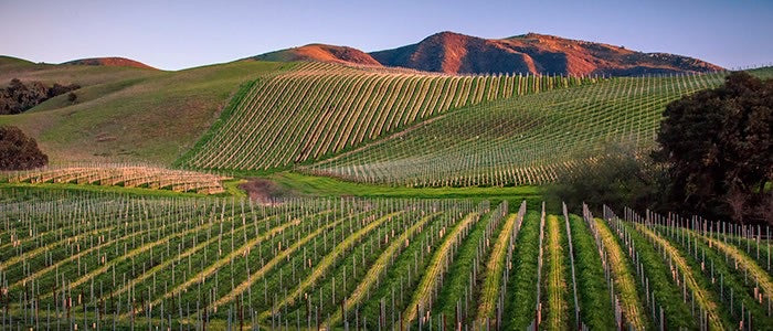 Peake Ranch Winery