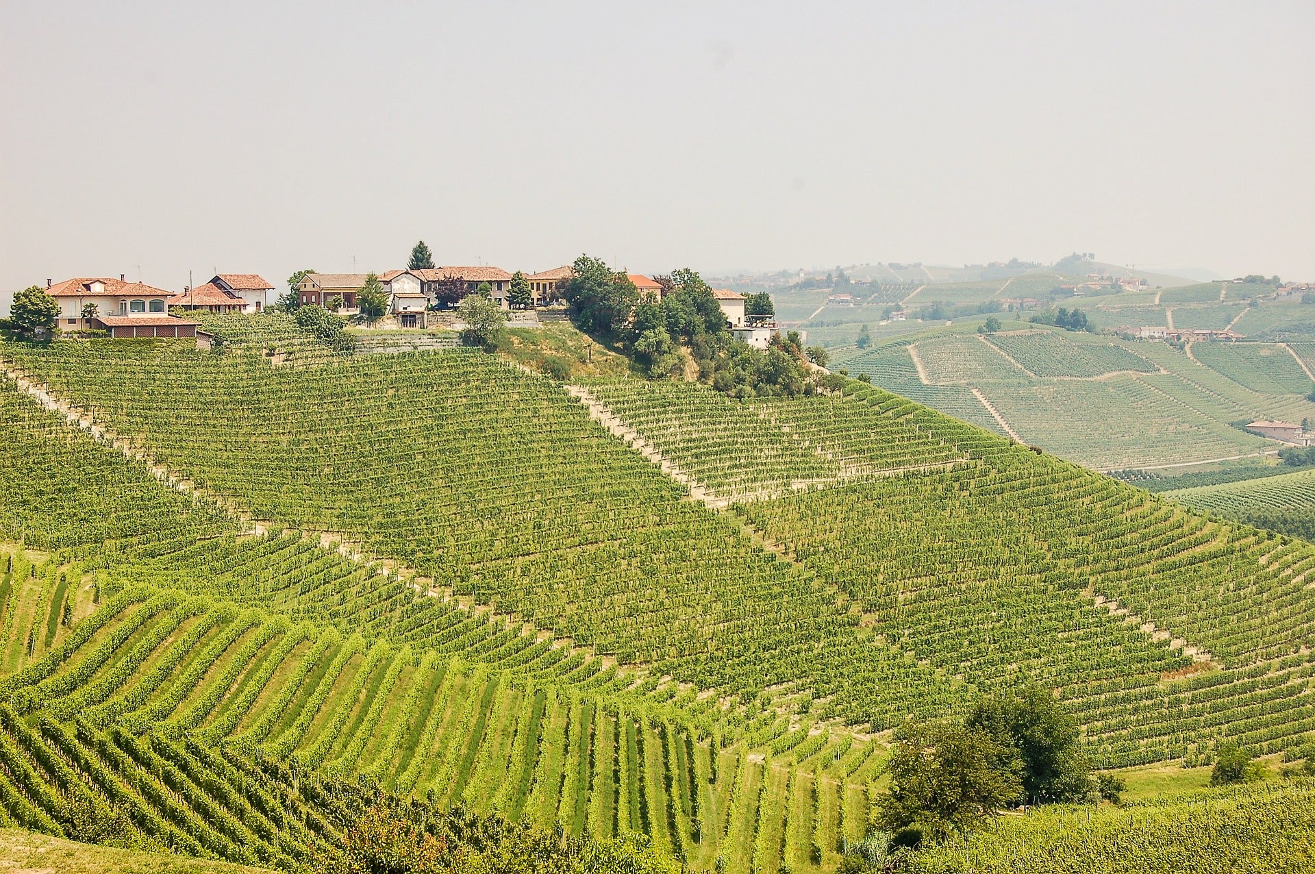 Cantina Vignaioli