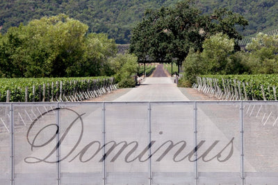 Dominus Estate