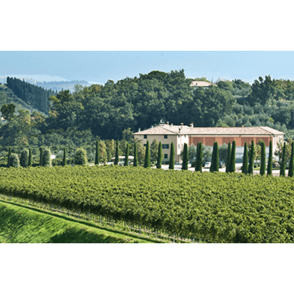 Vini Veneto