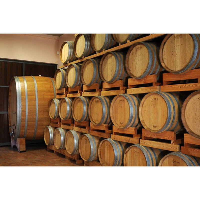 2020 Barolo Monvigliero, Cadia, Piemonte