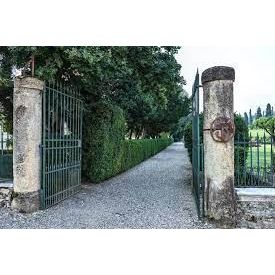 2020 Ripasso CLASSICO SUPERIORE, Valpolicella, Tenute SalvaTerra