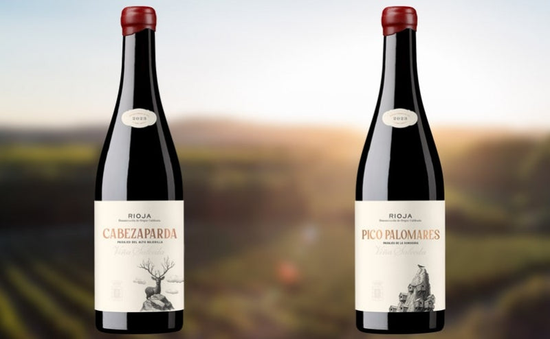 2023 Vina Salceda Pico Palomares, Rioja