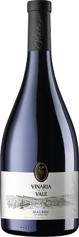 2019 Vinaria din Vale Vintage Malbec, Moldova