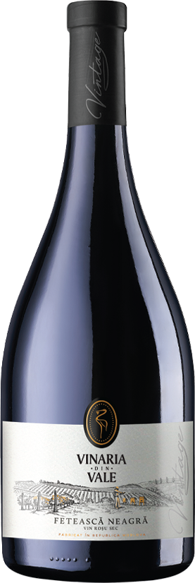 2019 Vinaria din Vale Feteasca Vintage Neagra, Moldova